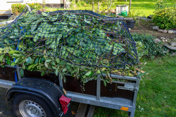 Best Shed Removal  in Nebo, NC